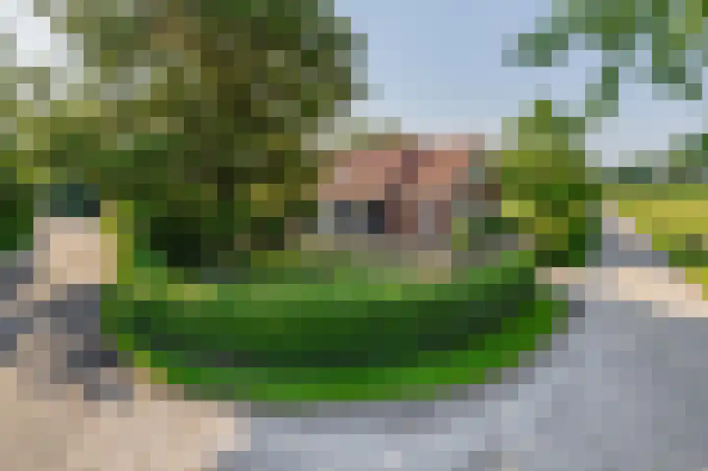 Dwarsdijk 1 Rockanje thumbnail 5