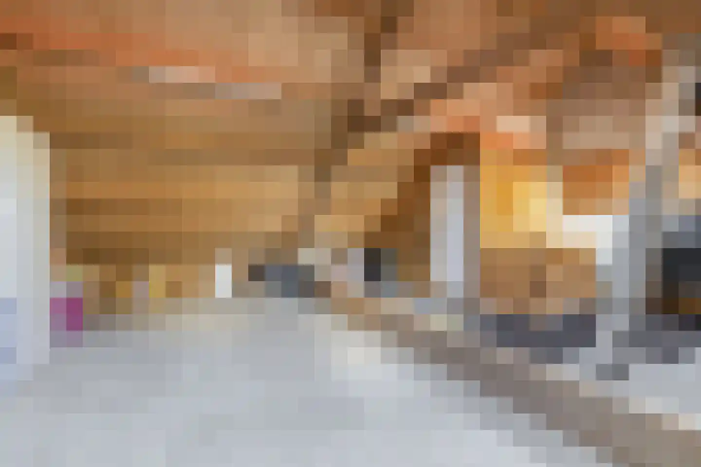 Dwarsdijk 1 Rockanje thumbnail 52