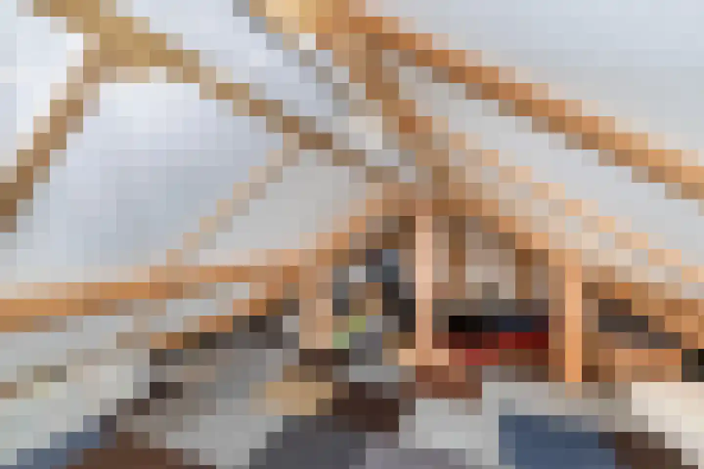 Dwarsdijk 1 Rockanje thumbnail 53