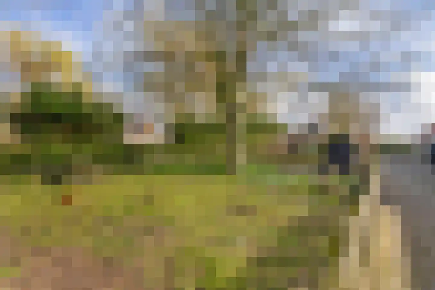 Dwarsdijk 1 Rockanje thumbnail 61