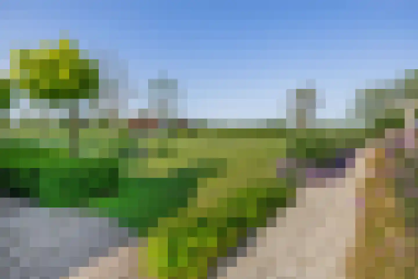 Dwarsdijk 1 Rockanje thumbnail 61