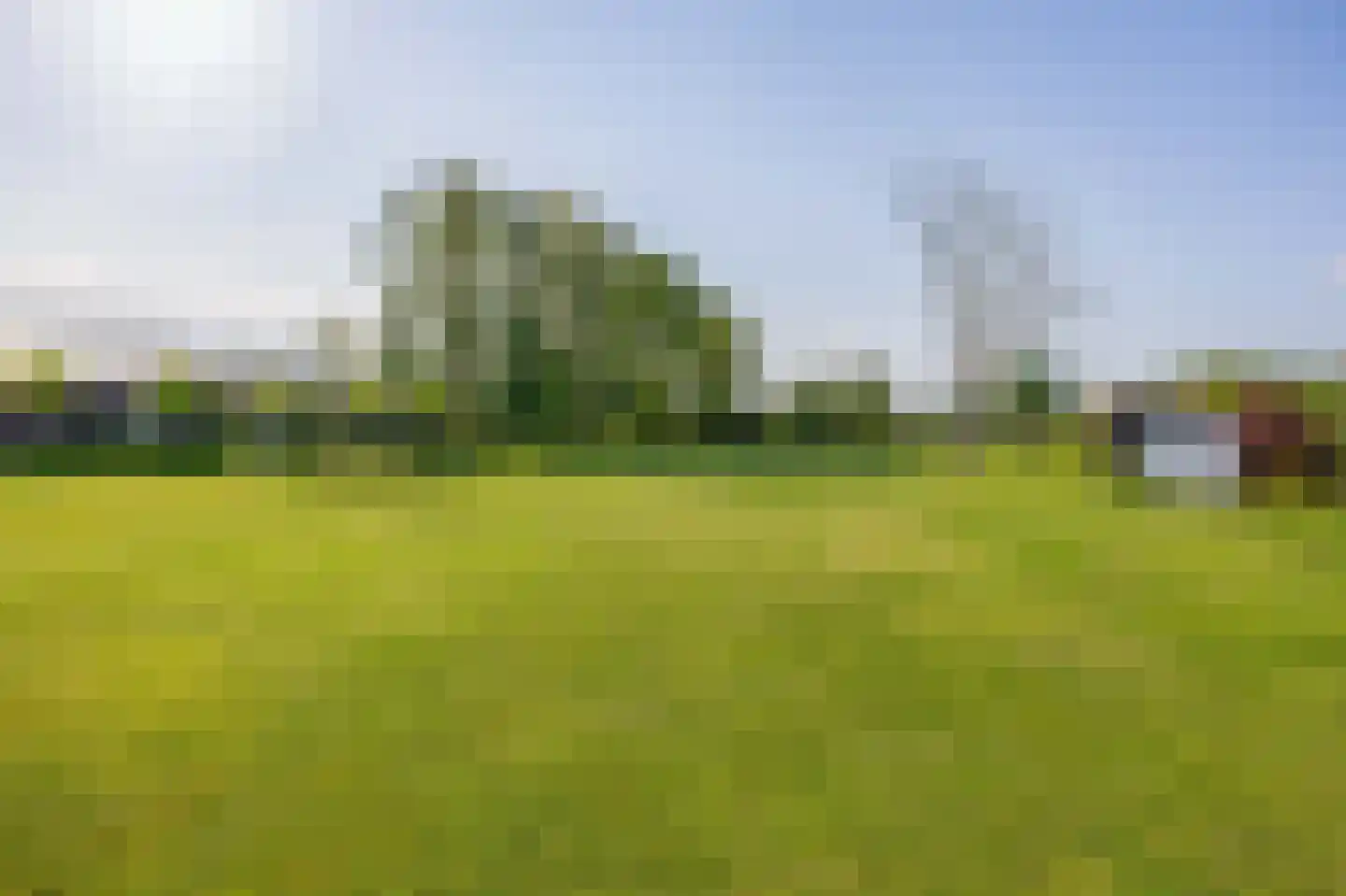 Dwarsdijk 1 Rockanje thumbnail 62