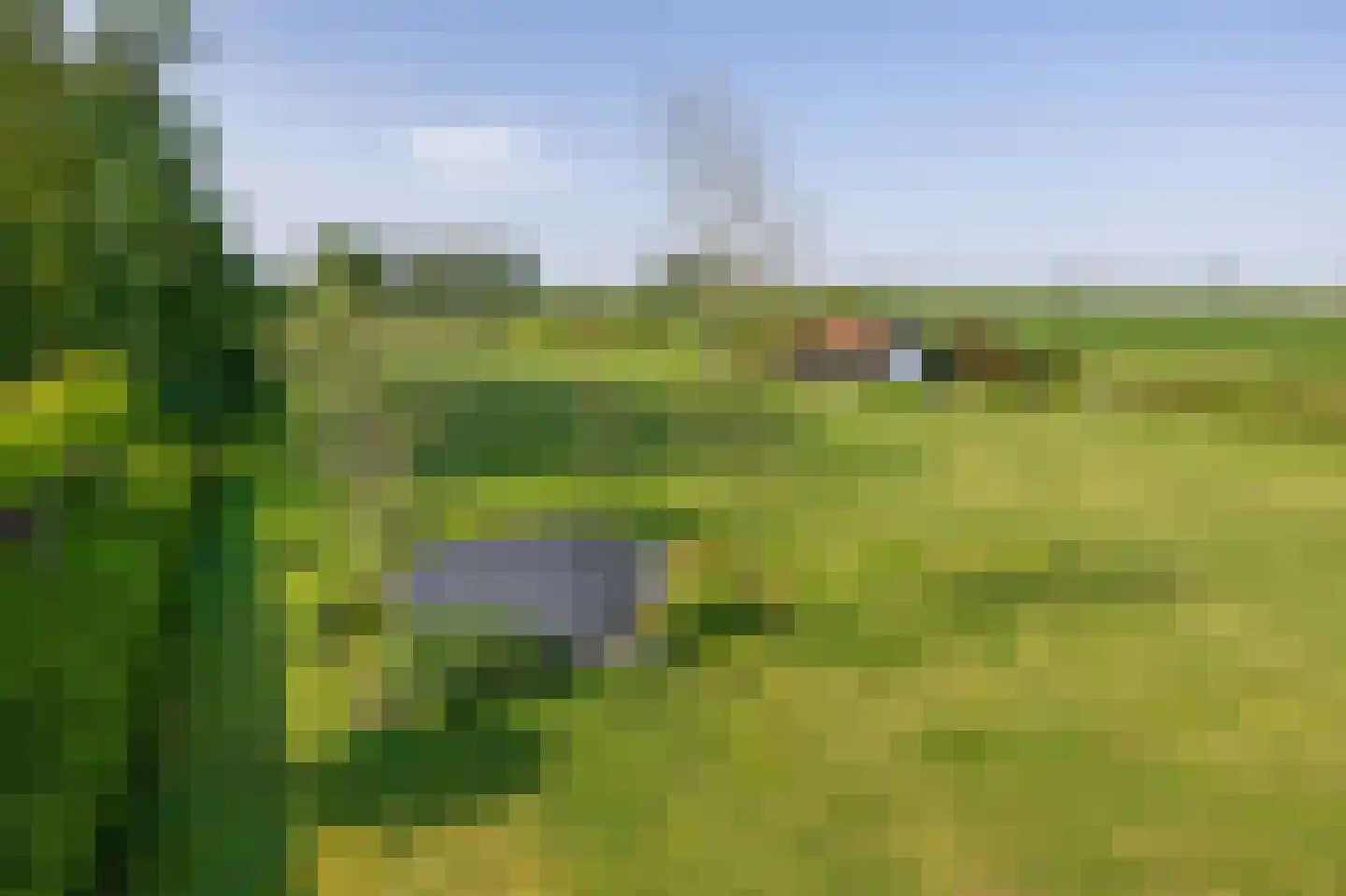 Dwarsdijk 1 Rockanje thumbnail 63