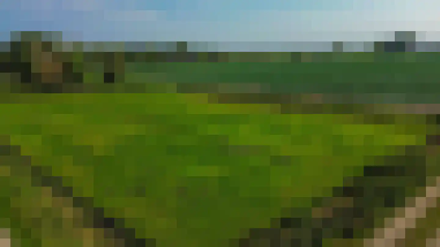 Dwarsdijk 1 Rockanje thumbnail 65