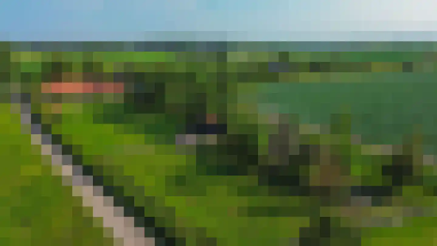 Dwarsdijk 1 Rockanje thumbnail 67