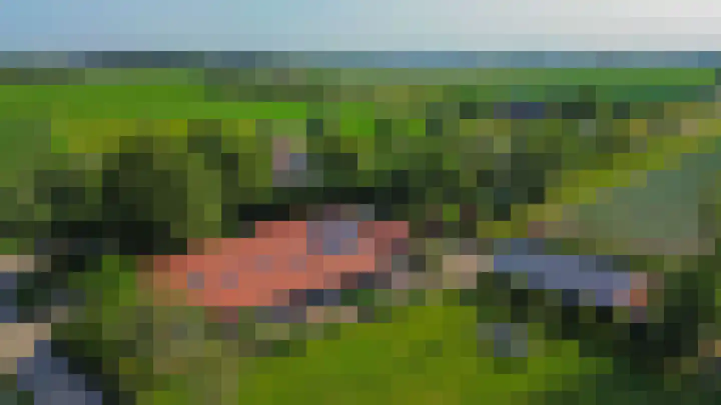 Dwarsdijk 1 Rockanje thumbnail 68