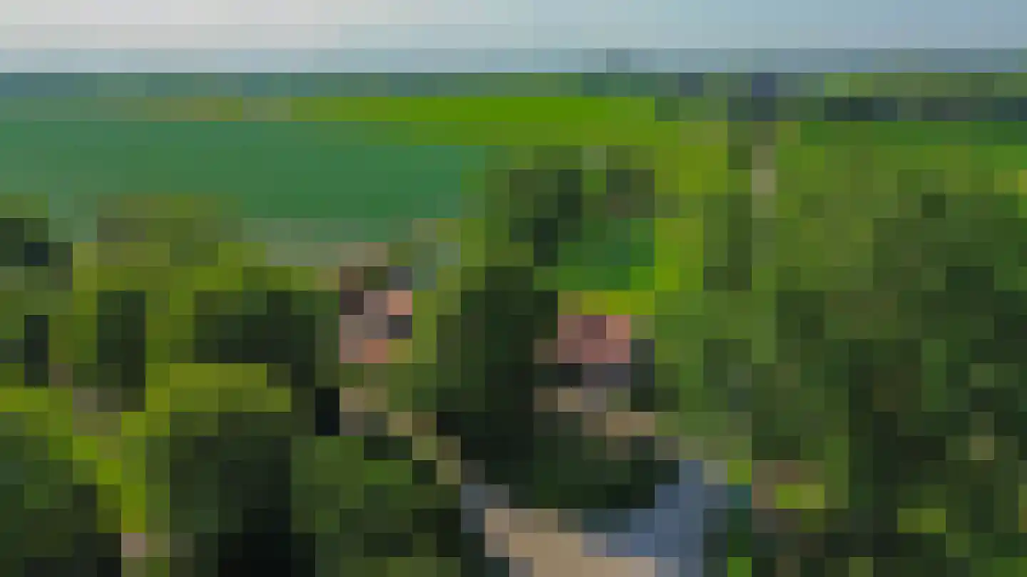 Dwarsdijk 1 Rockanje thumbnail 69