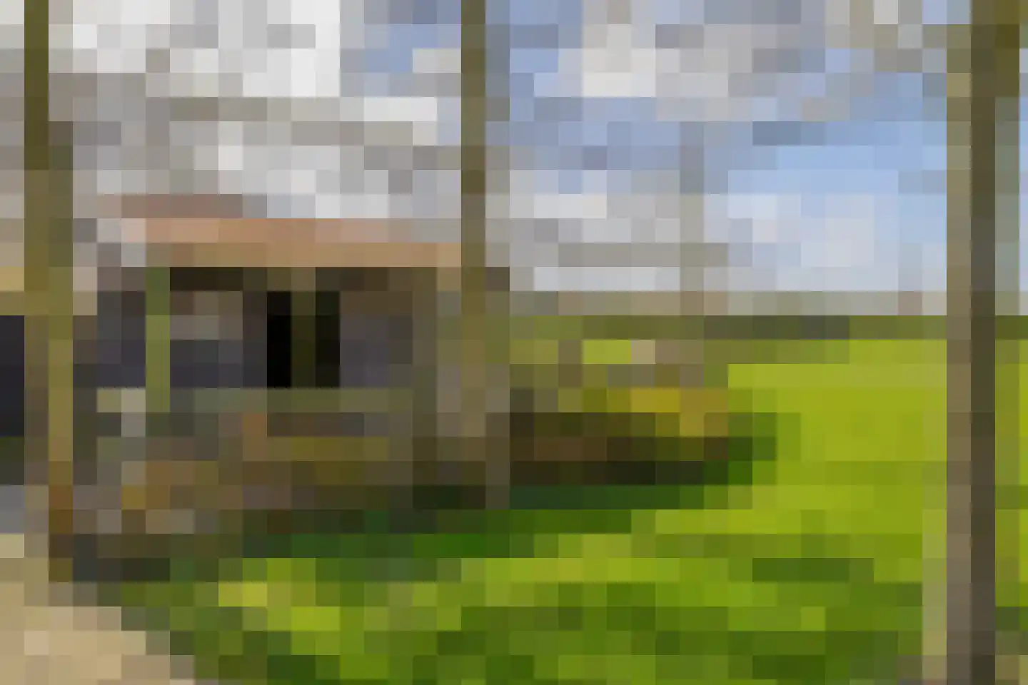 Dwarsdijk 1 Rockanje thumbnail 74