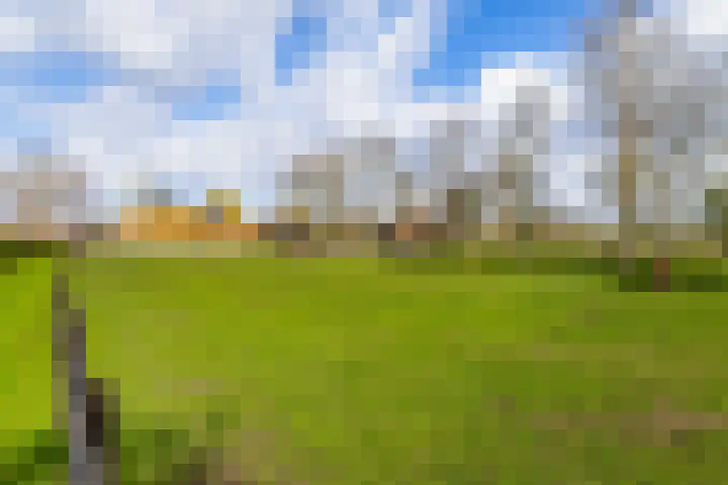 Dwarsdijk 1 Rockanje thumbnail 77
