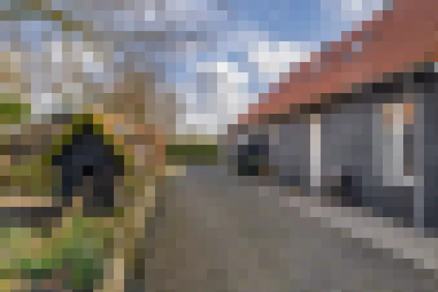 Dwarsdijk 1 Rockanje thumbnail 8