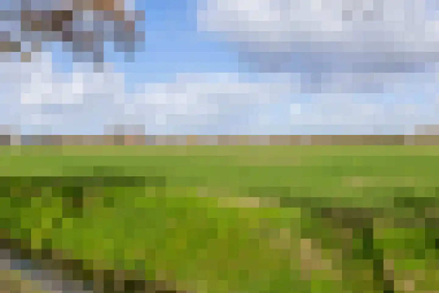 Dwarsdijk 1 Rockanje thumbnail 80