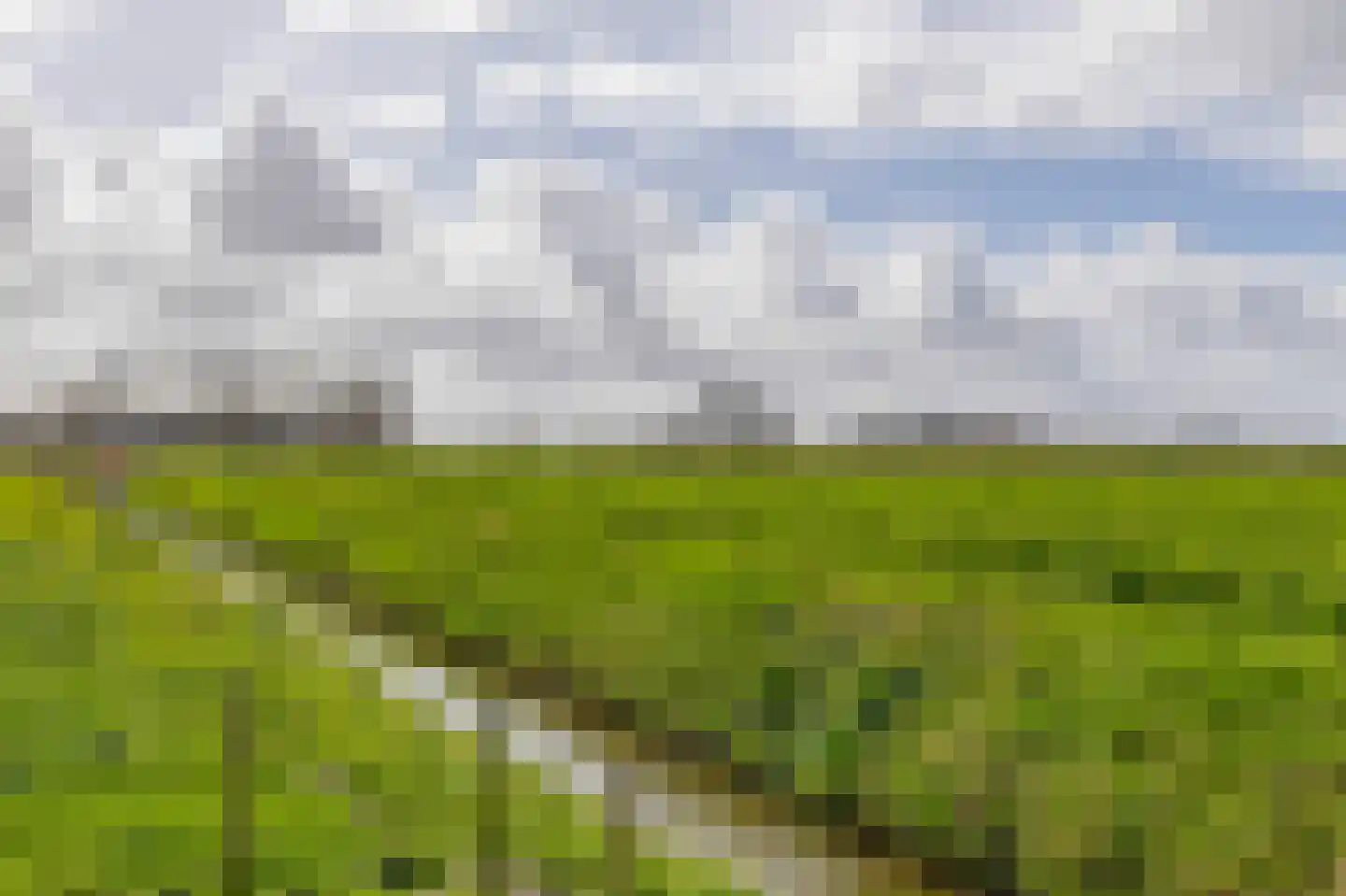 Dwarsdijk 1 Rockanje thumbnail 81