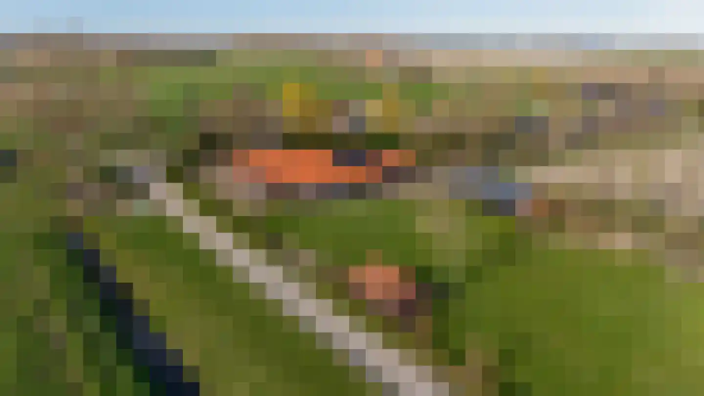 Dwarsdijk 1 Rockanje thumbnail 82