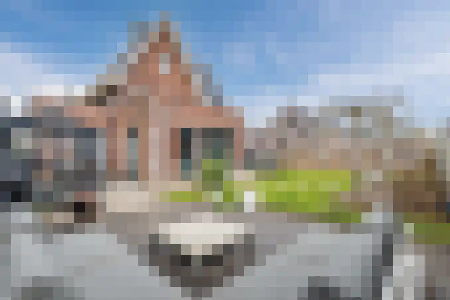 Dwarsdijk 12 Bemmel thumbnail 48