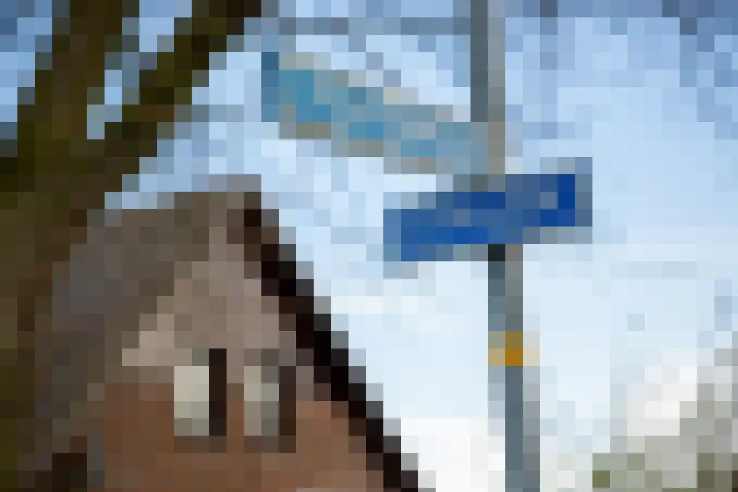 Dwarsdijk 12 Vragender thumbnail 46