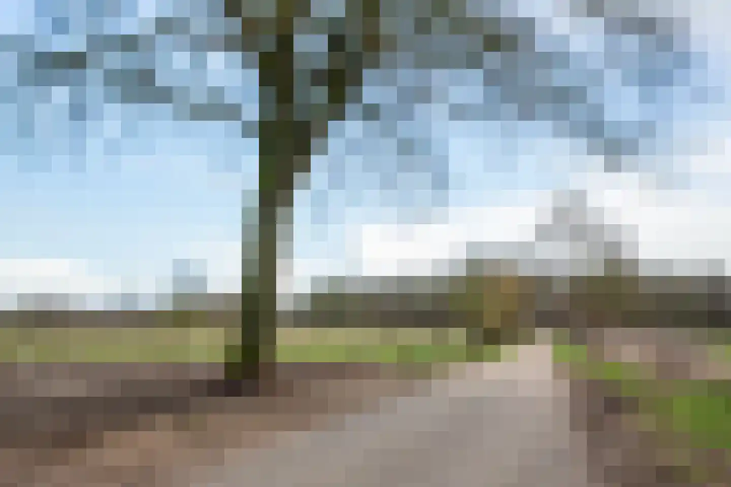 Dwarsdijk 12 Vragender thumbnail 47