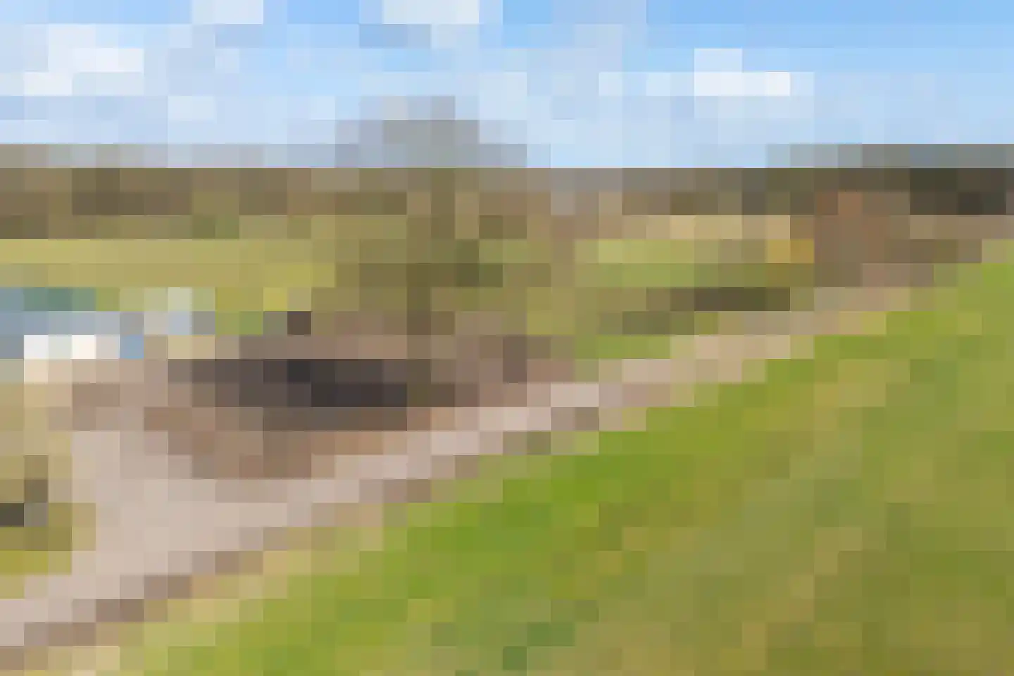 Dwarsdijk 12 Vragender thumbnail 53