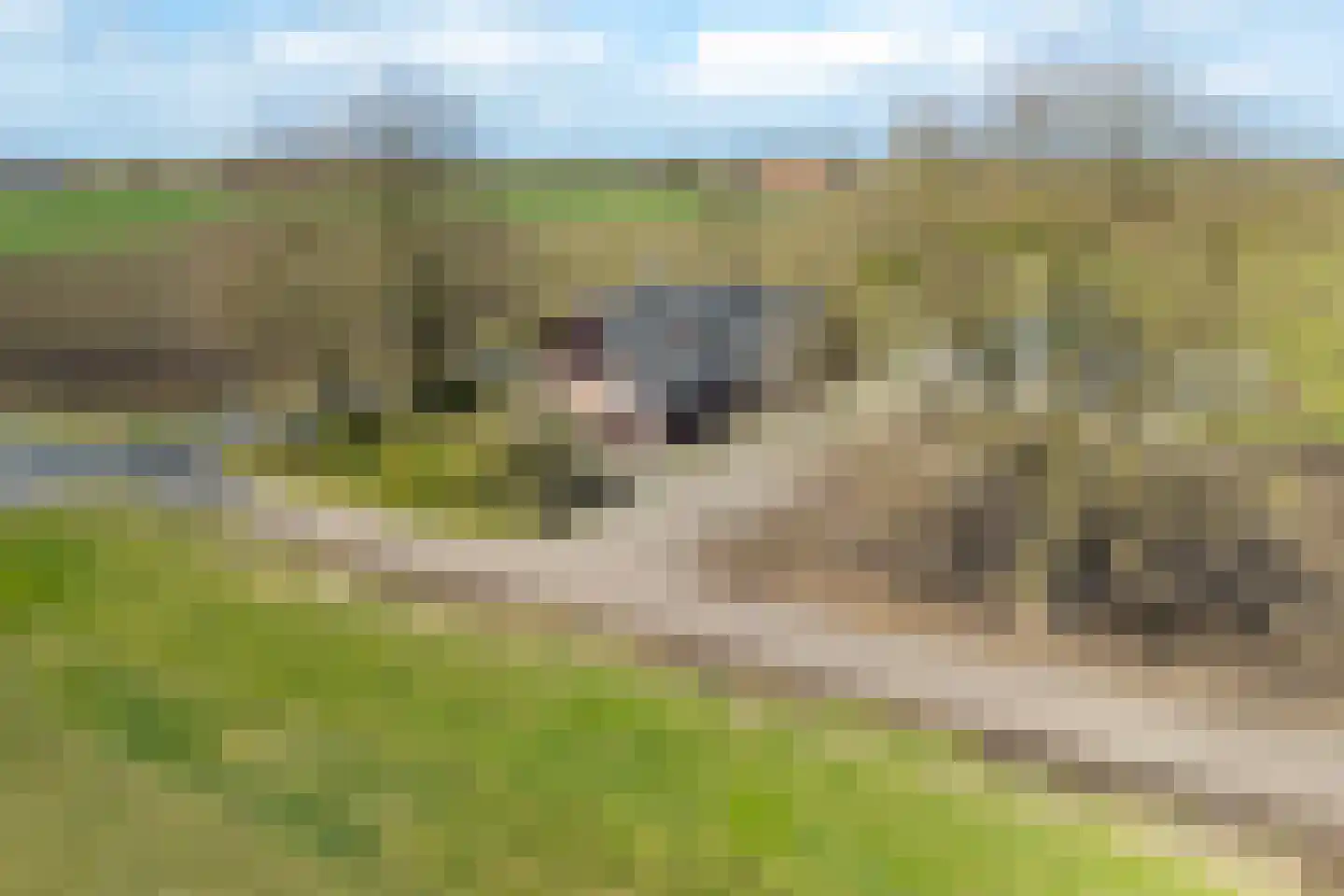 Dwarsdijk 12 Vragender thumbnail 54
