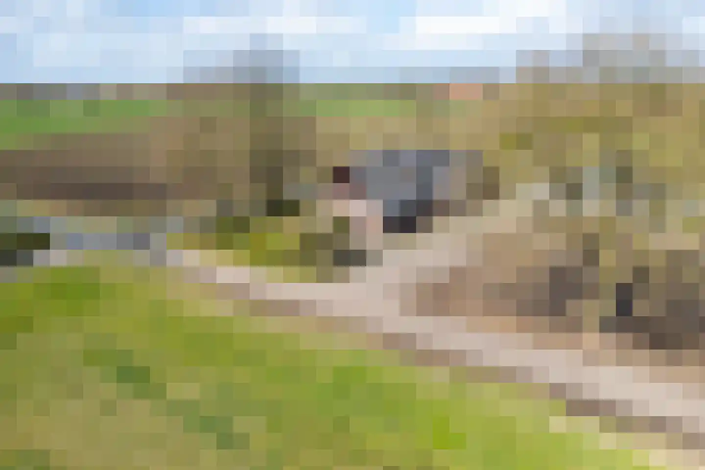 Dwarsdijk 12 Vragender thumbnail 8