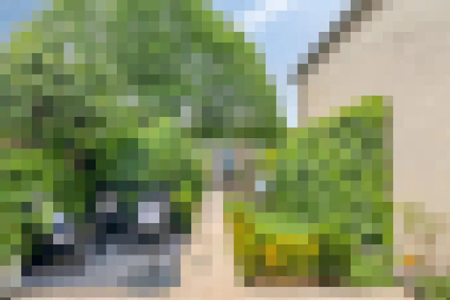 Dwarsdijk 20 Breda thumbnail 38