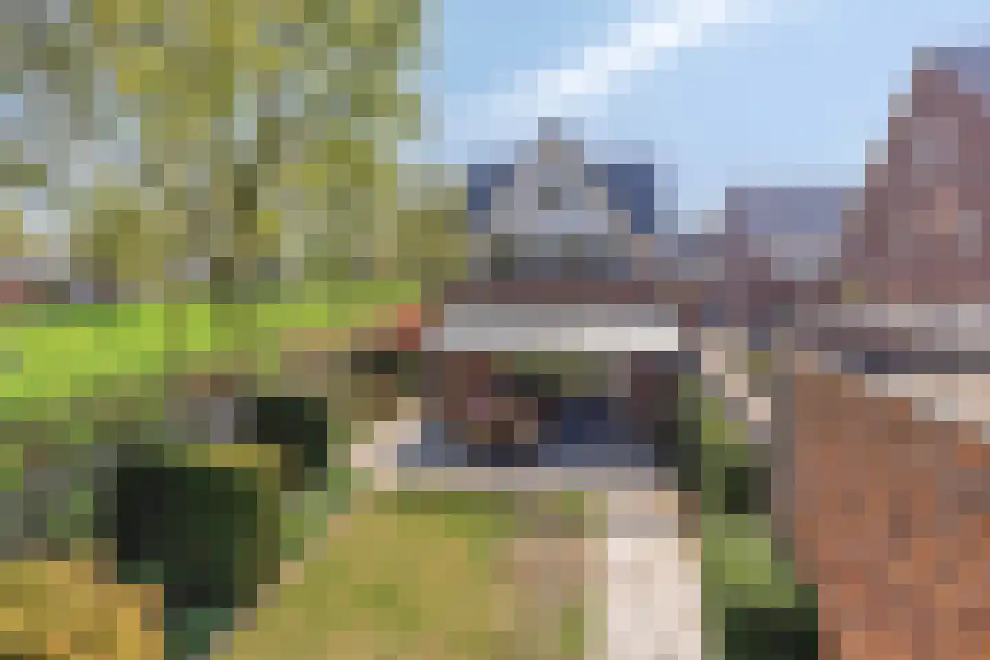 Dwarsdijk 47 Bemmel thumbnail 52