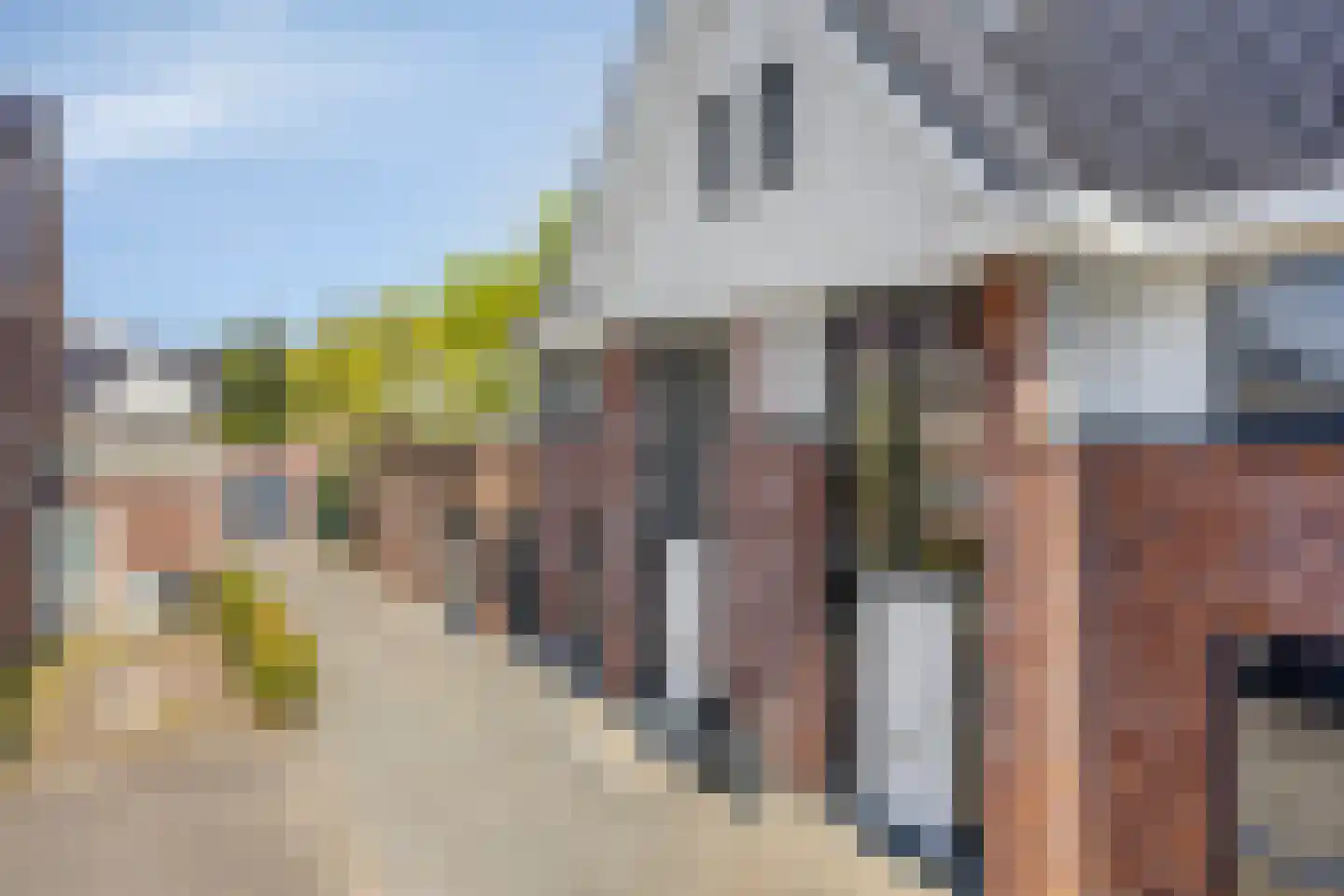 Dwarsdijk 47 Bemmel thumbnail 7