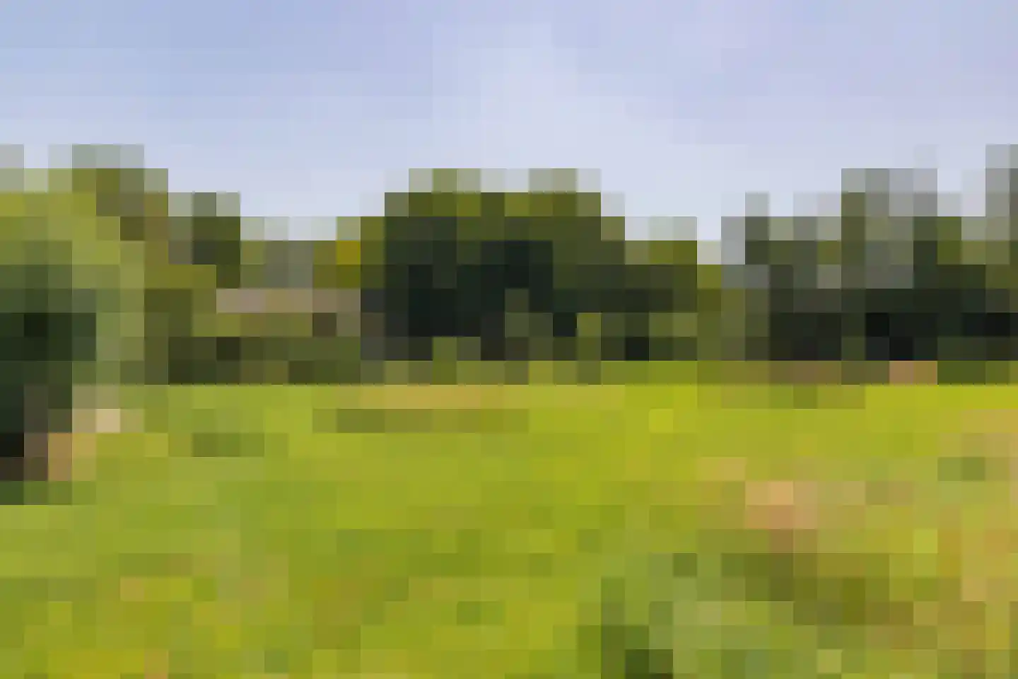 Dwarsdijk 6 Laren thumbnail 10