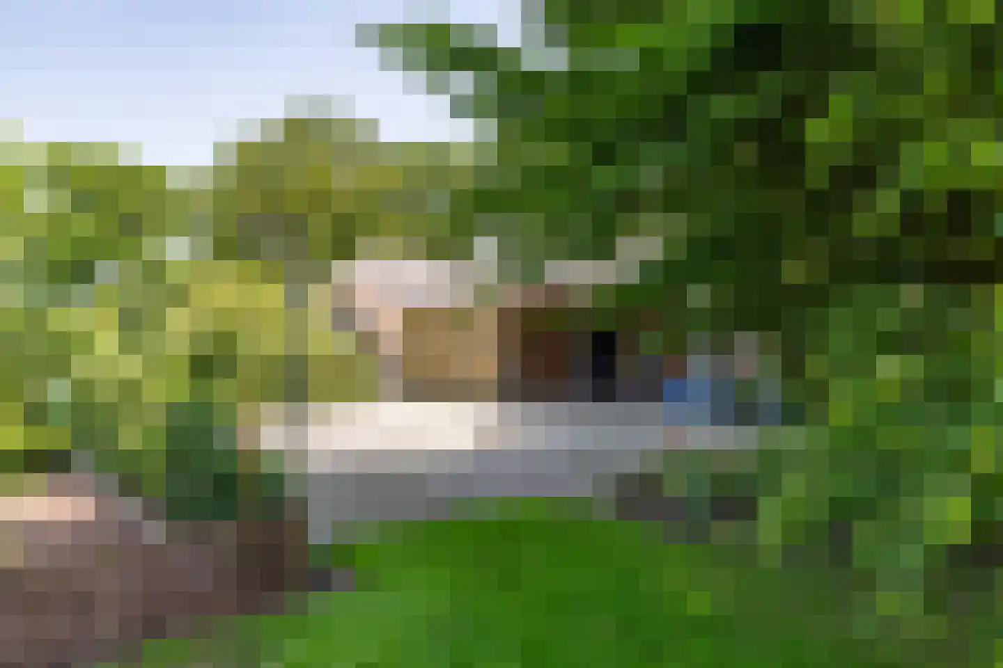 Dwarsdijk 6 Laren thumbnail 43
