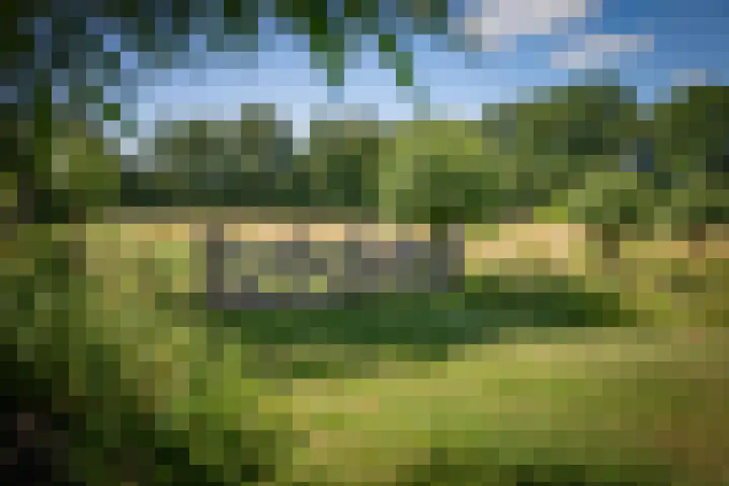 Dwarsdijk 6 Laren thumbnail 5