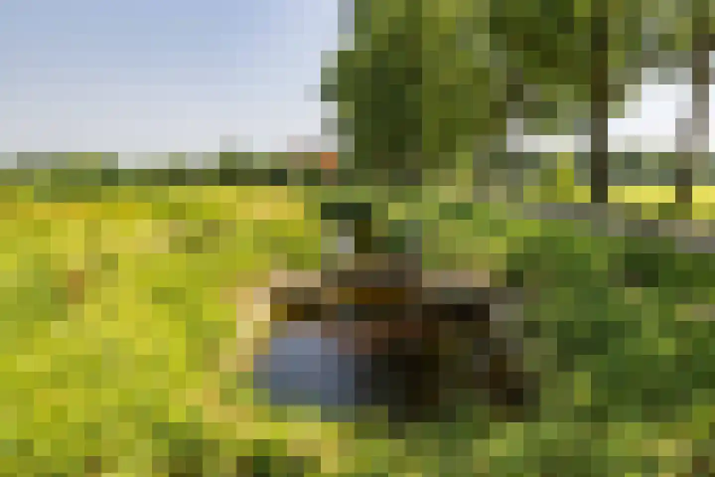 Dwarsdijk 6 Laren thumbnail 56