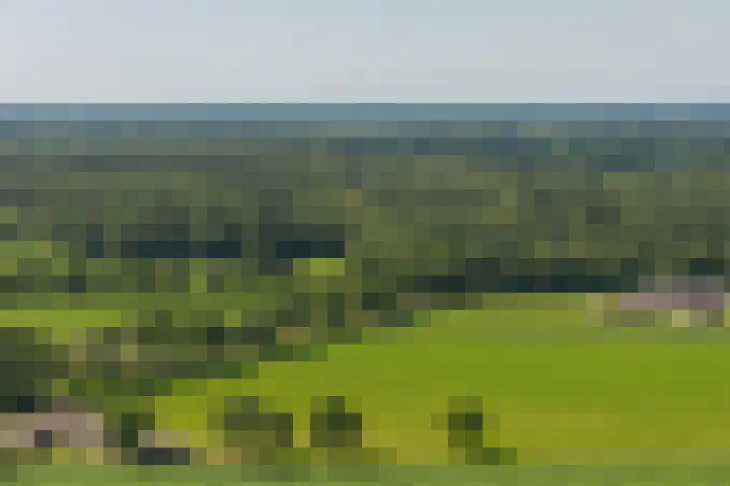 Dwarsdijk 6 Laren thumbnail 76