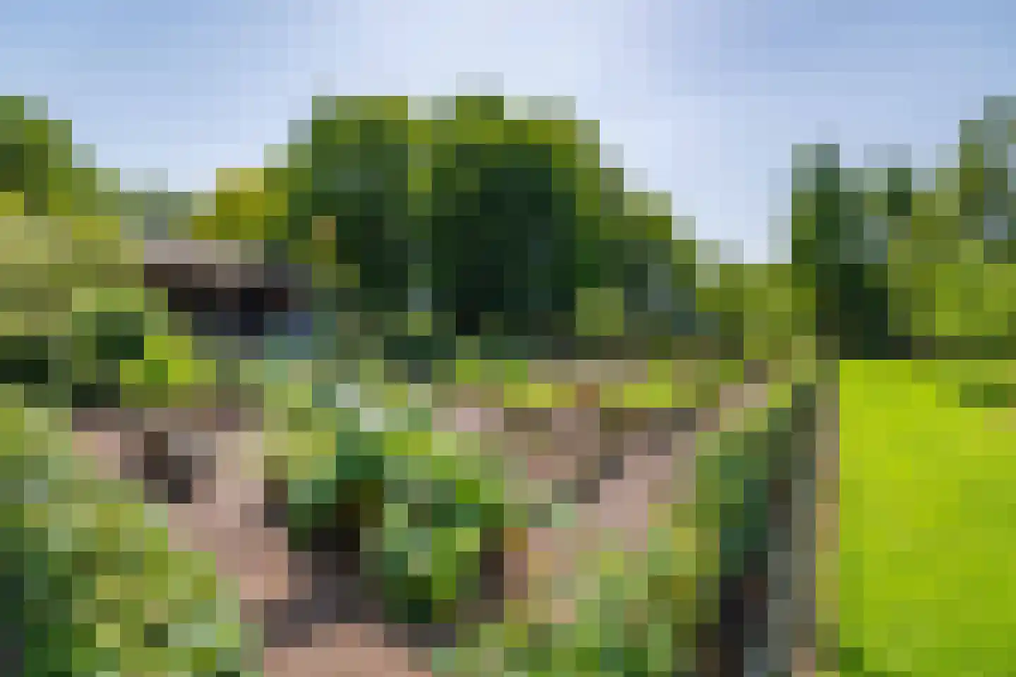 Dwarsdijk 6 Laren thumbnail 9