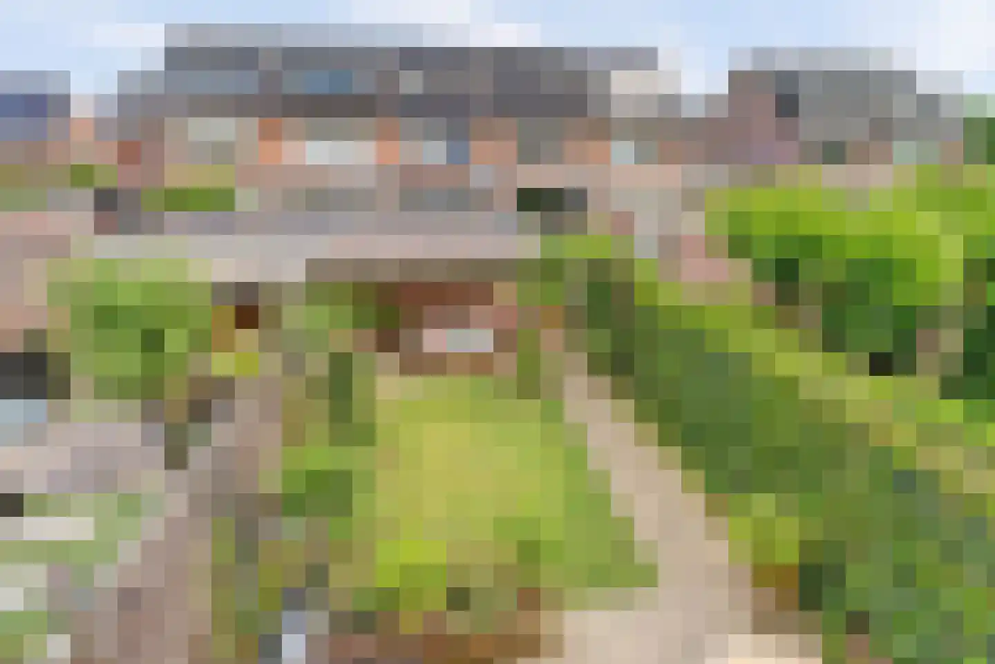 Dwarsdijk 69 Bemmel thumbnail 22