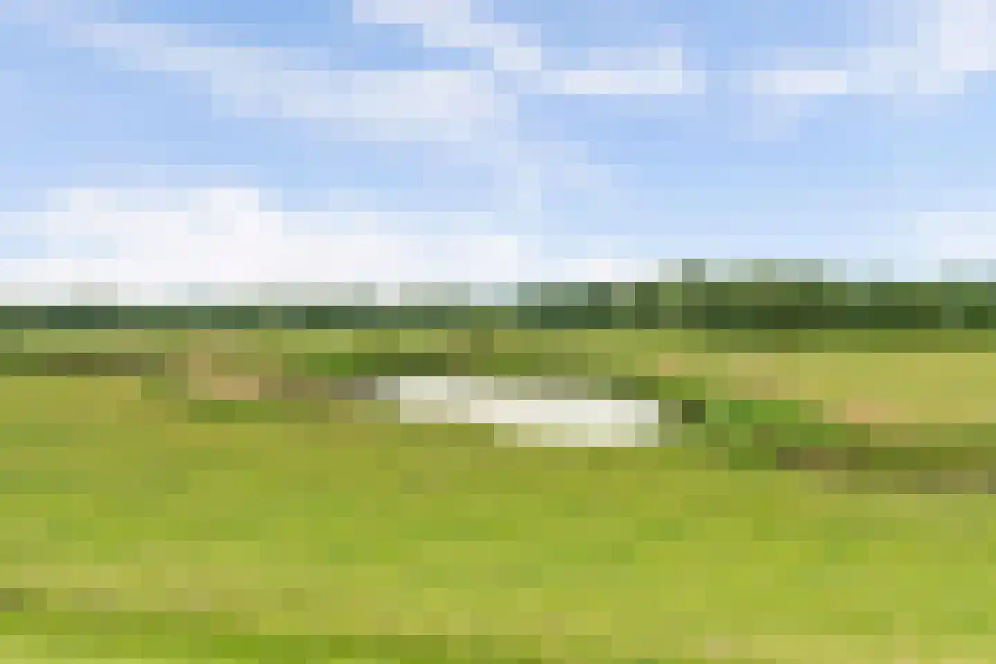 Dwarsdijk 69 Bemmel thumbnail 42