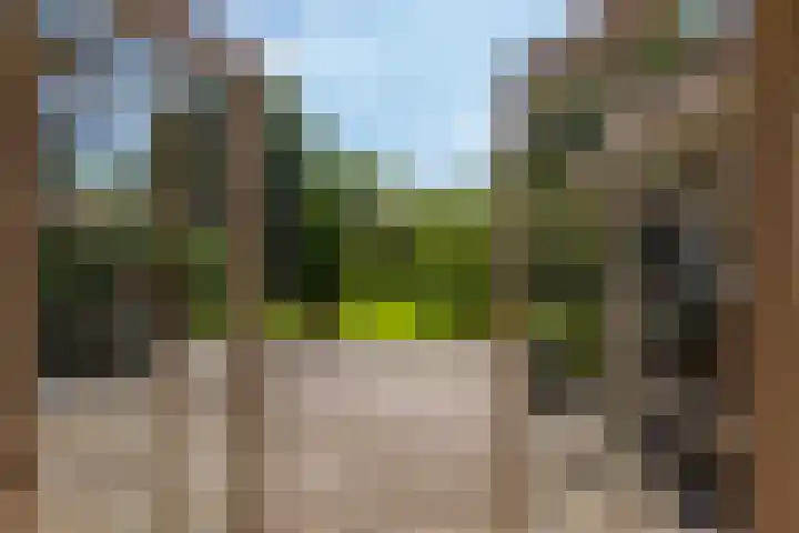 Dwarsdijk 7 Laren thumbnail 7