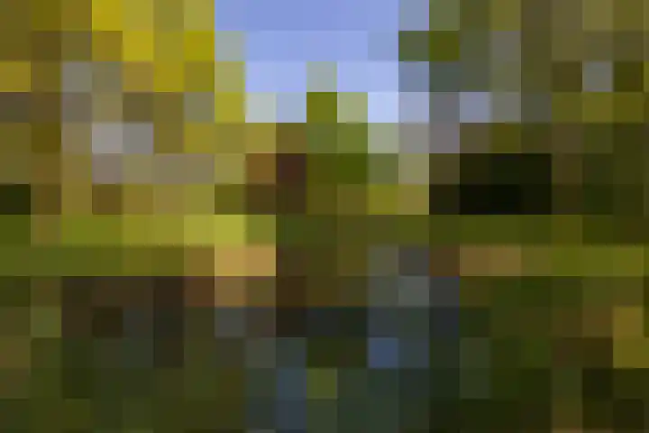 Dwarsdijk 7 Laren thumbnail 9