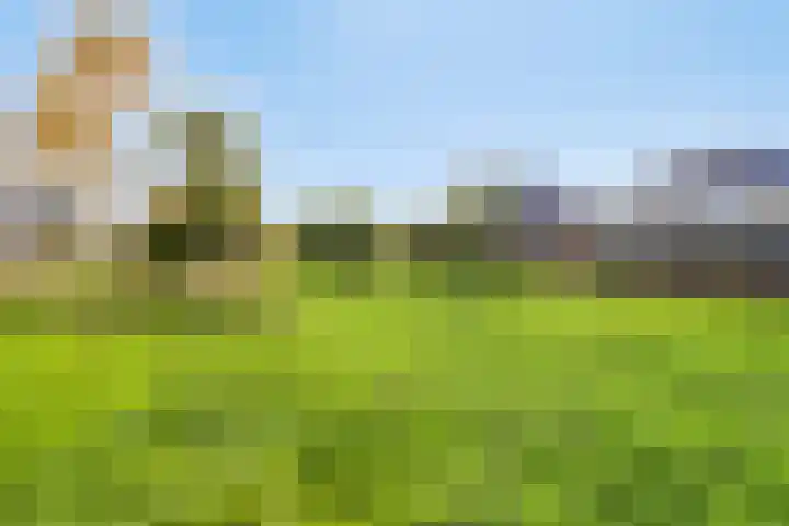 Dwarsduin 11 Zeewolde thumbnail 36