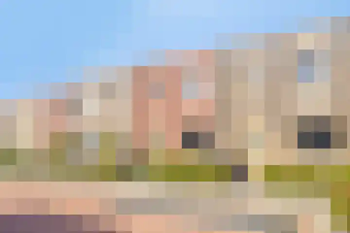 Dwarsduin 11 Zeewolde thumbnail 6