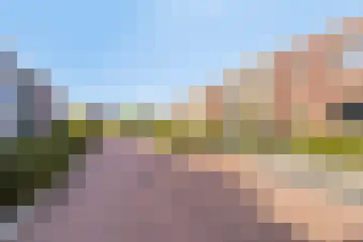 Dwarsduin 11 Zeewolde thumbnail 7