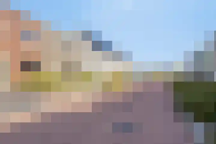 Dwarsduin 11 Zeewolde thumbnail 9