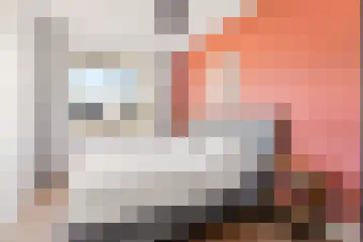 Dwarsduin 13 Zeewolde thumbnail 20