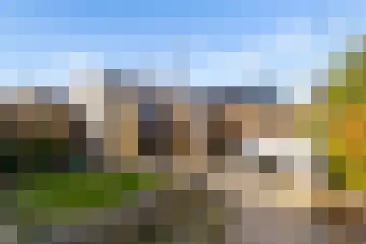 Dwarsduin 13 Zeewolde thumbnail 30