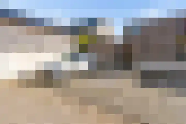 Dwarsduin 13 Zeewolde thumbnail 36