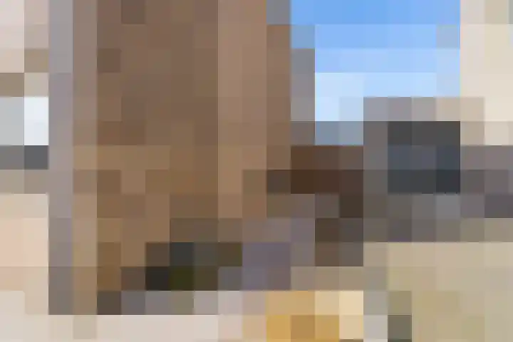 Dwarsduin 13 Zeewolde thumbnail 39