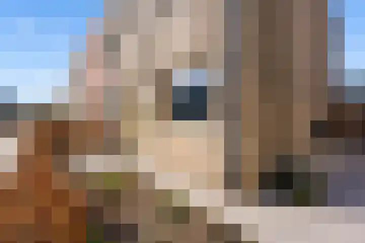 Dwarsduin 13 Zeewolde thumbnail 42