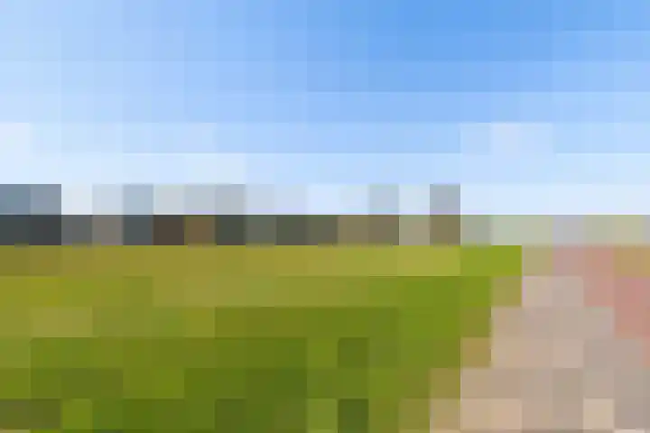 Dwarsduin 13 Zeewolde thumbnail 47