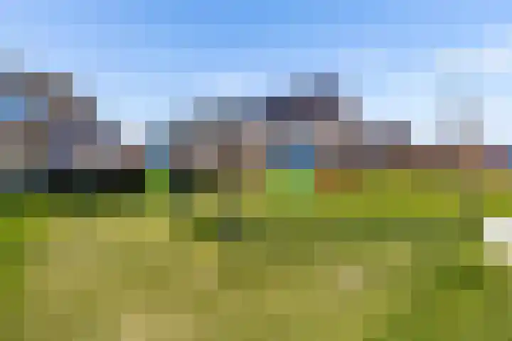 Dwarsduin 13 Zeewolde thumbnail 48