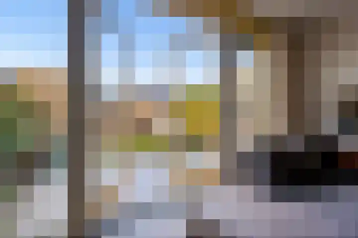 Dwarsduin 13 Zeewolde thumbnail 9