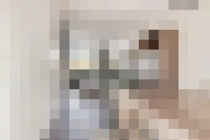 Dwarseind 19 Best thumbnail 11