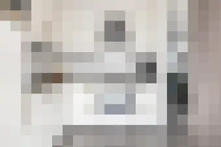 Dwarseind 19 Best thumbnail 12